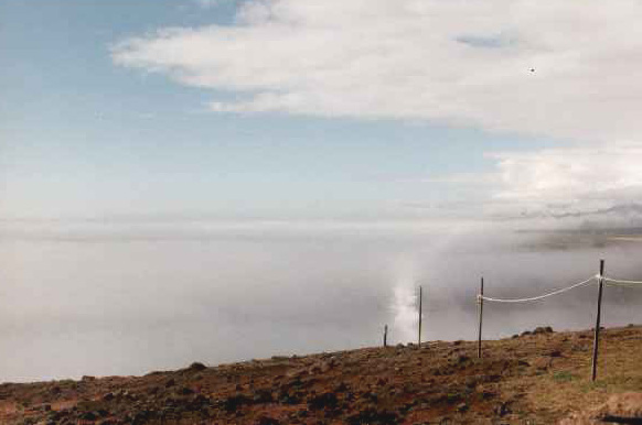 Sicht von der Klippe Dyrhólaey
